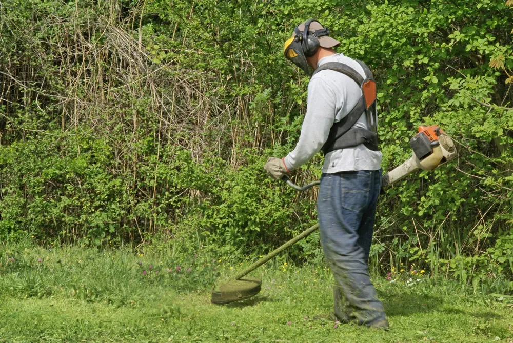 Entretien espace vert à Billère